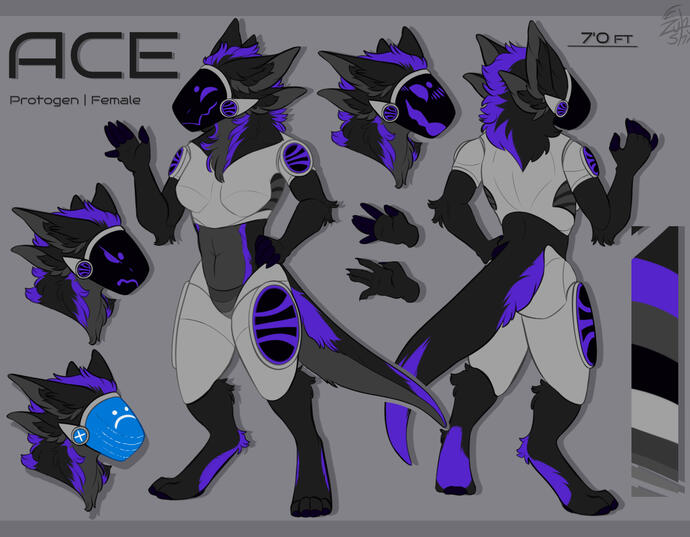 Reference Sheet